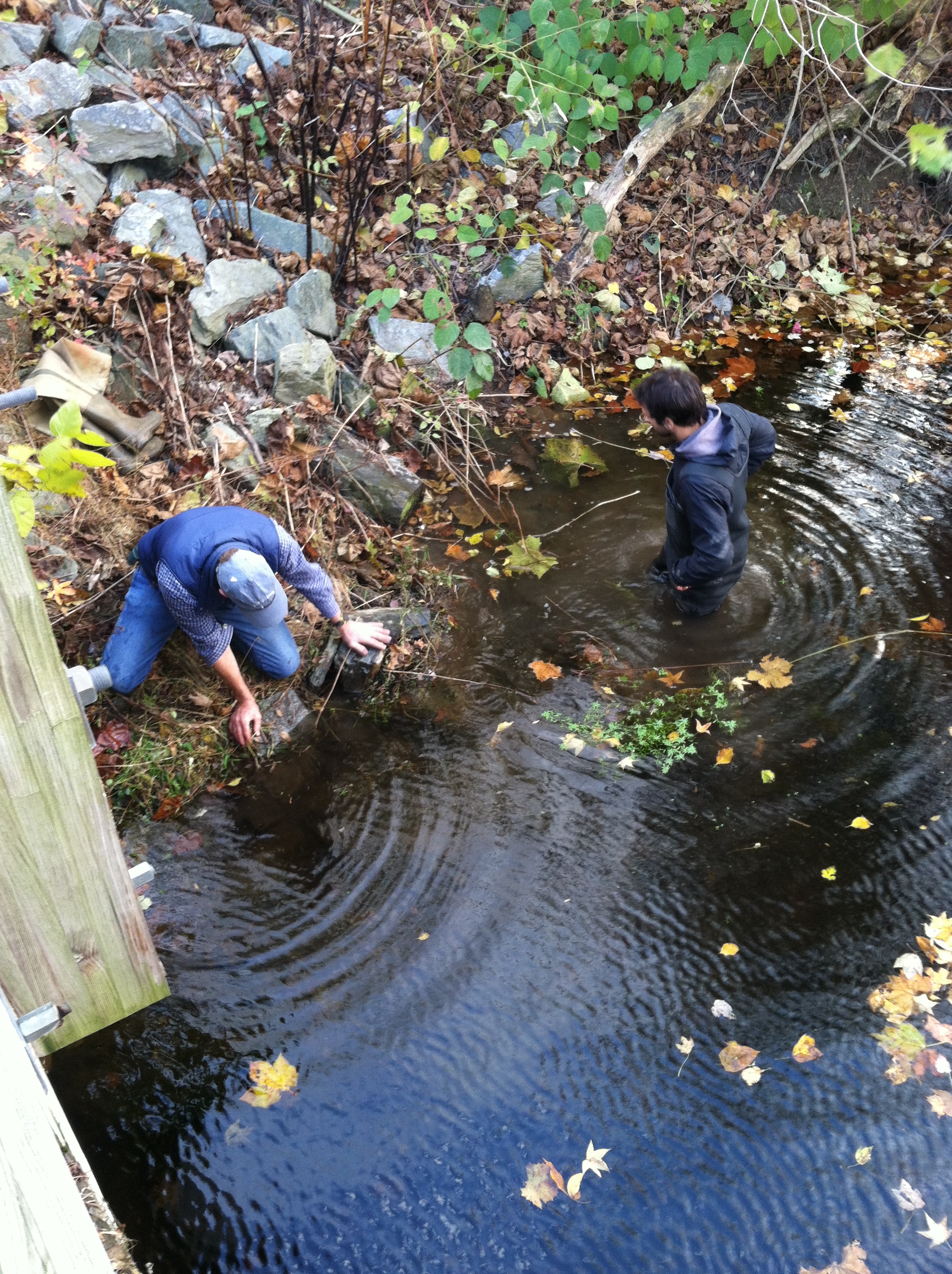 water monitoring