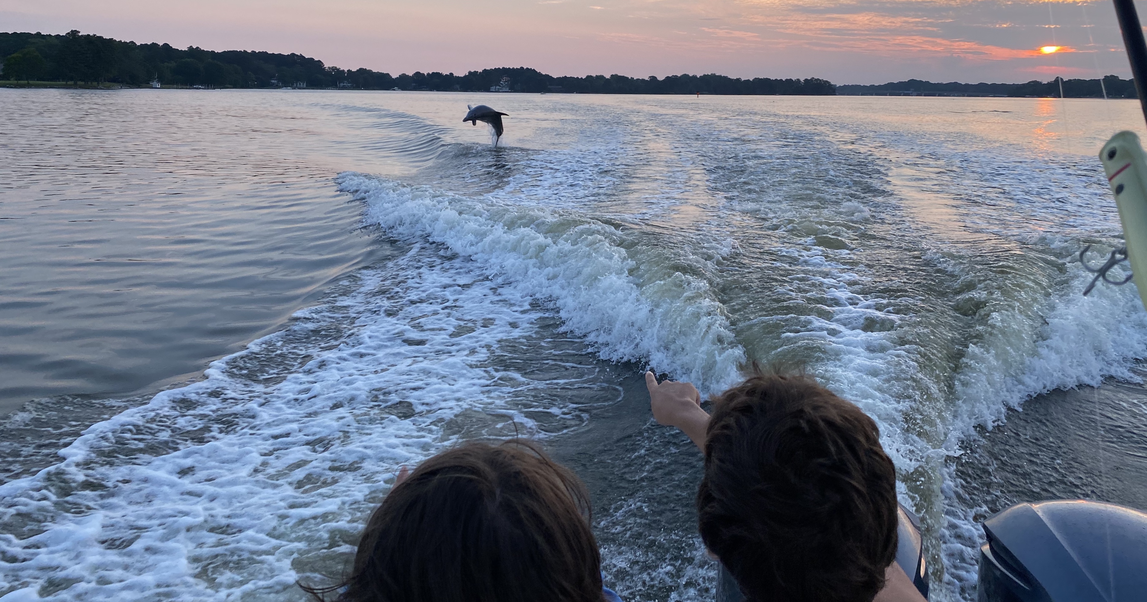 Citizens on the Chesapeake Bay Watching Dolphins