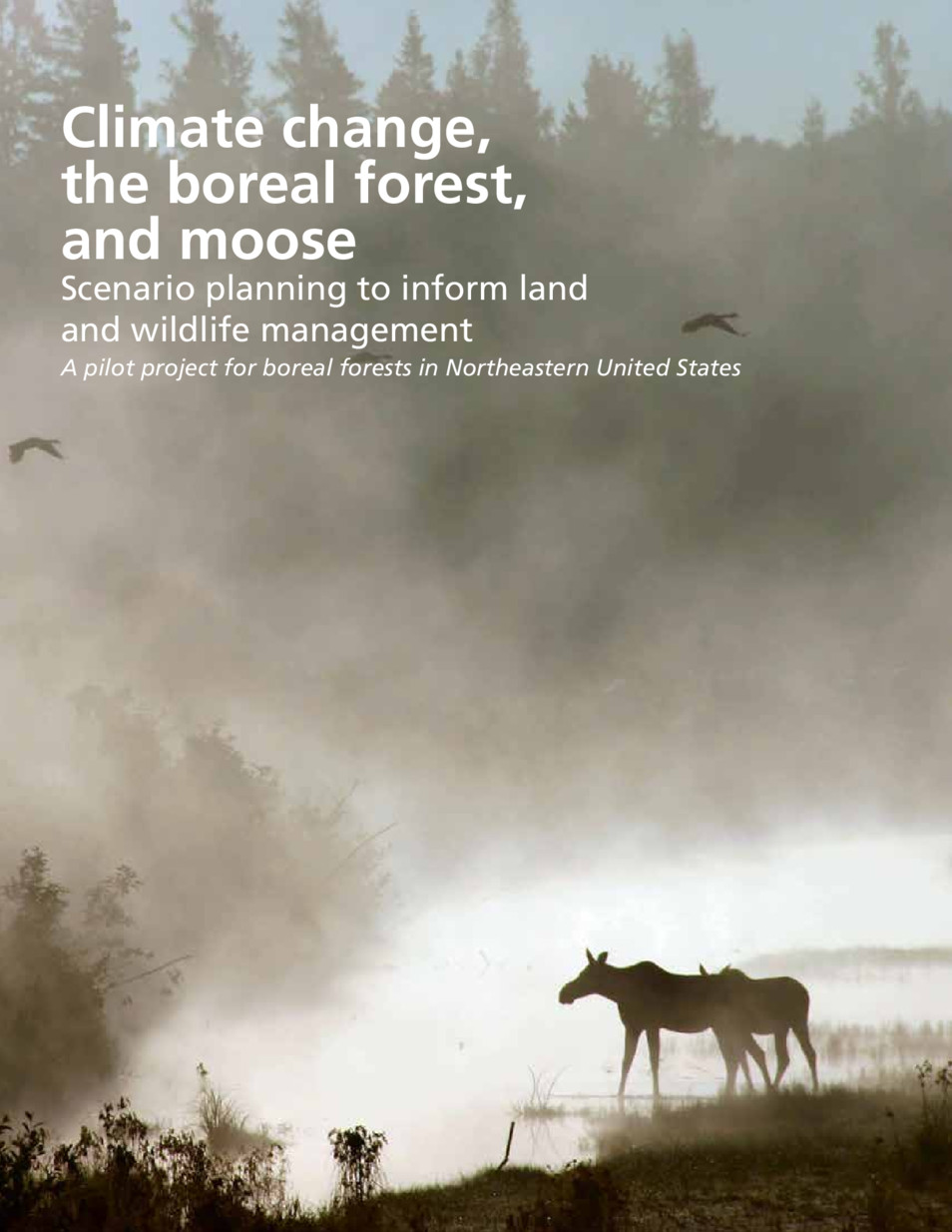 Climate change, the boreal forest, and moose Scenario planning to
