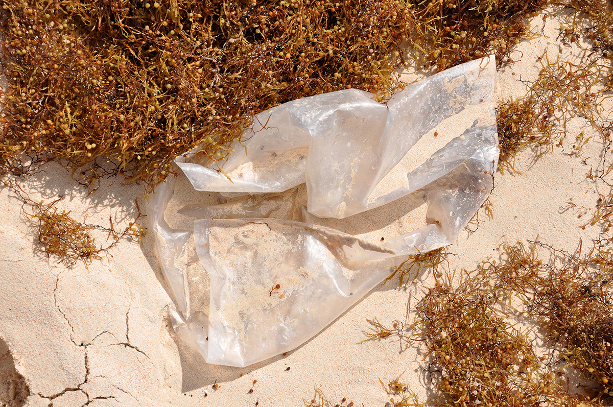 Plastic bag  Photo by Michael Gonsior