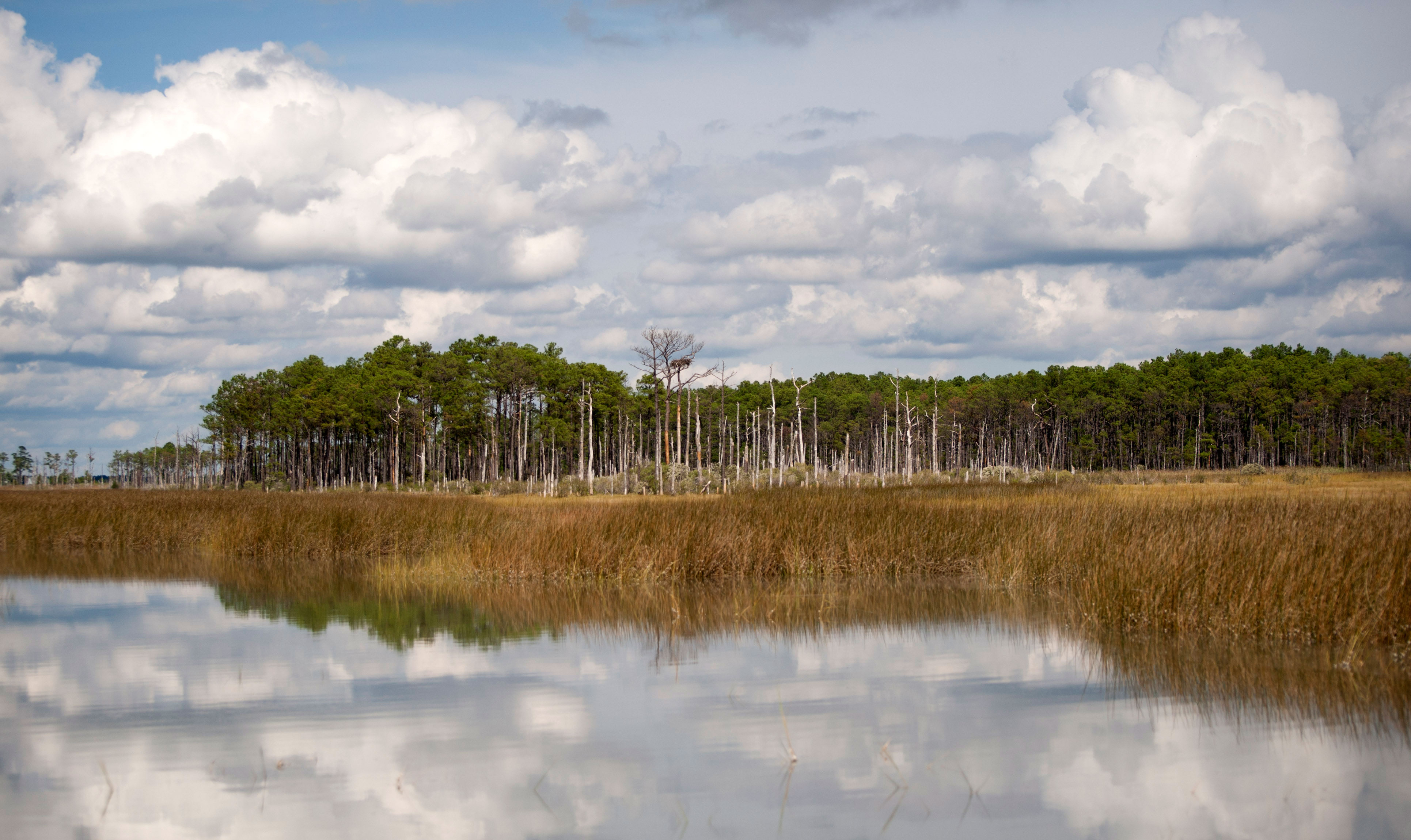 Water meets marsh and land