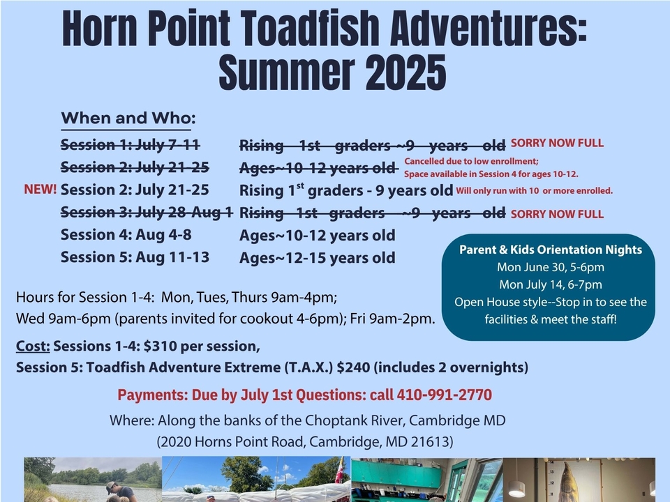 Flyer for Horn Point Toadfish Adventures