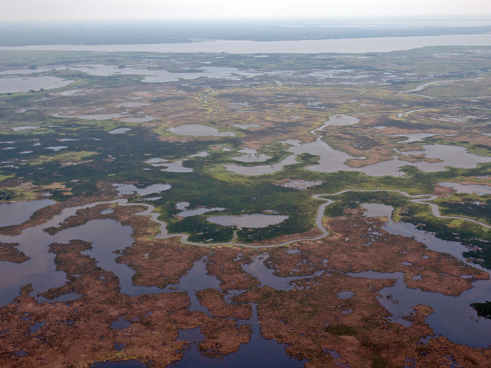 Blackwater From the sky.