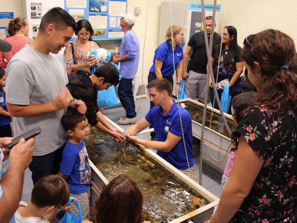 Touch tank behind the scenes at Chesapeake Biological Laboratory Open House