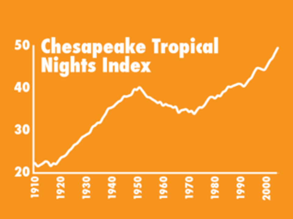 Graph showing Chesapeake Tropical Nights Index, showing an increasing trend in tropical nights