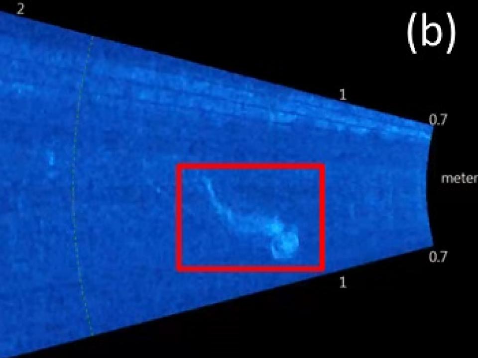 In July 2013 and 2014, the team tested a sonar imaging system off of the pier called ARIS, which takes pictures in the water using sound signals.