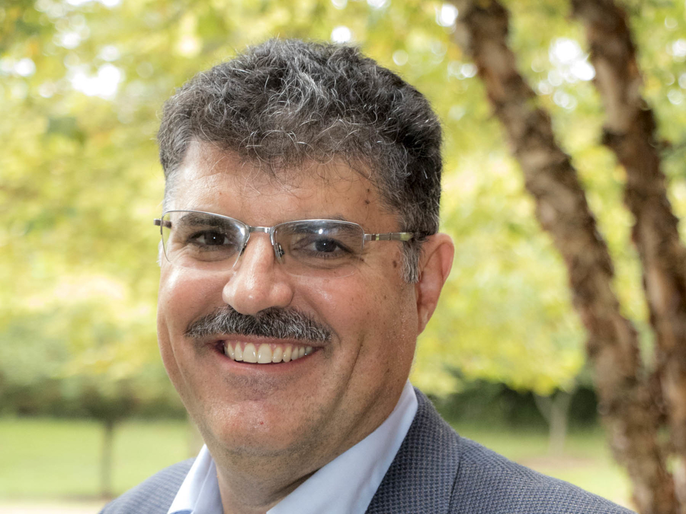 Dave Nemazie