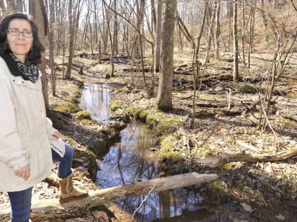  Watershed scientist Solange Filoso is studying how stream restoration projects in Anne Arundel County affect water quality. Photo by Jeffrey Brainard 