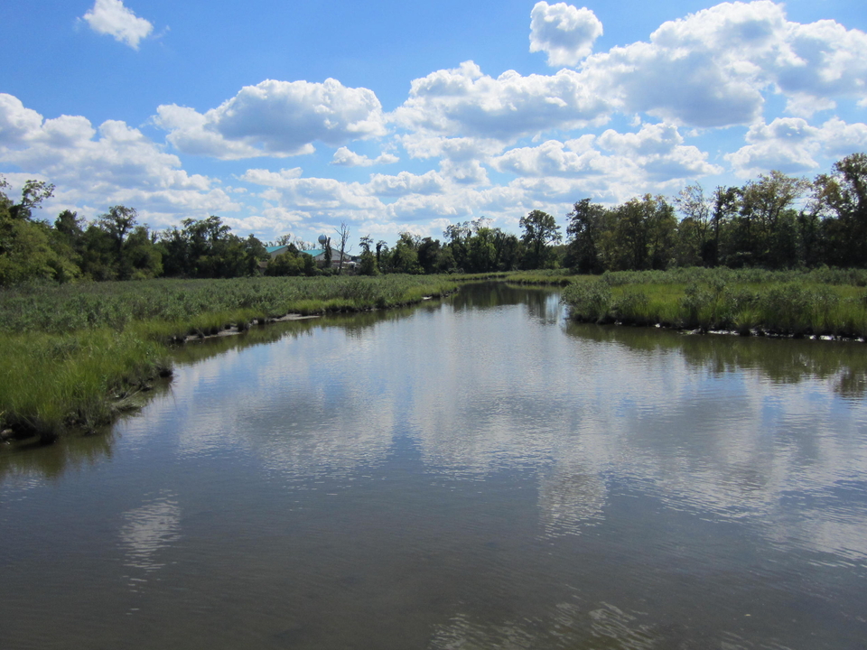 A waterway surrounded by marsh on a sunny day with blue skies 