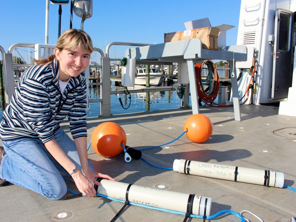 Helen Bailey readies acoustic monitors to track marine mammals off coast of Ocean City