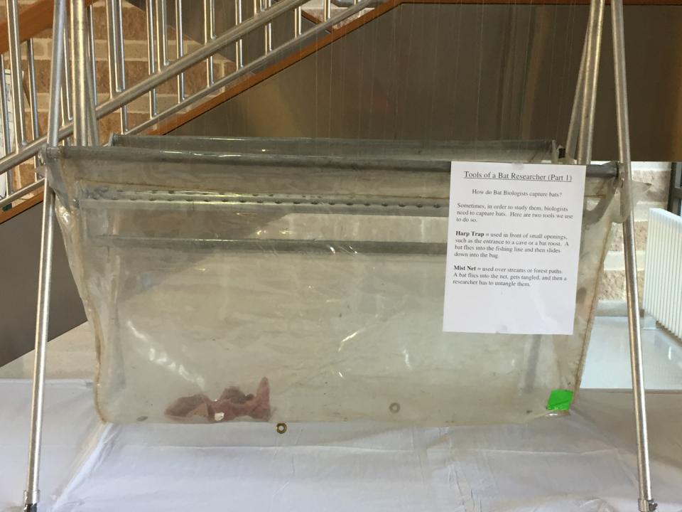 Harp trap on display in lobby of Appalachian Laboratory 