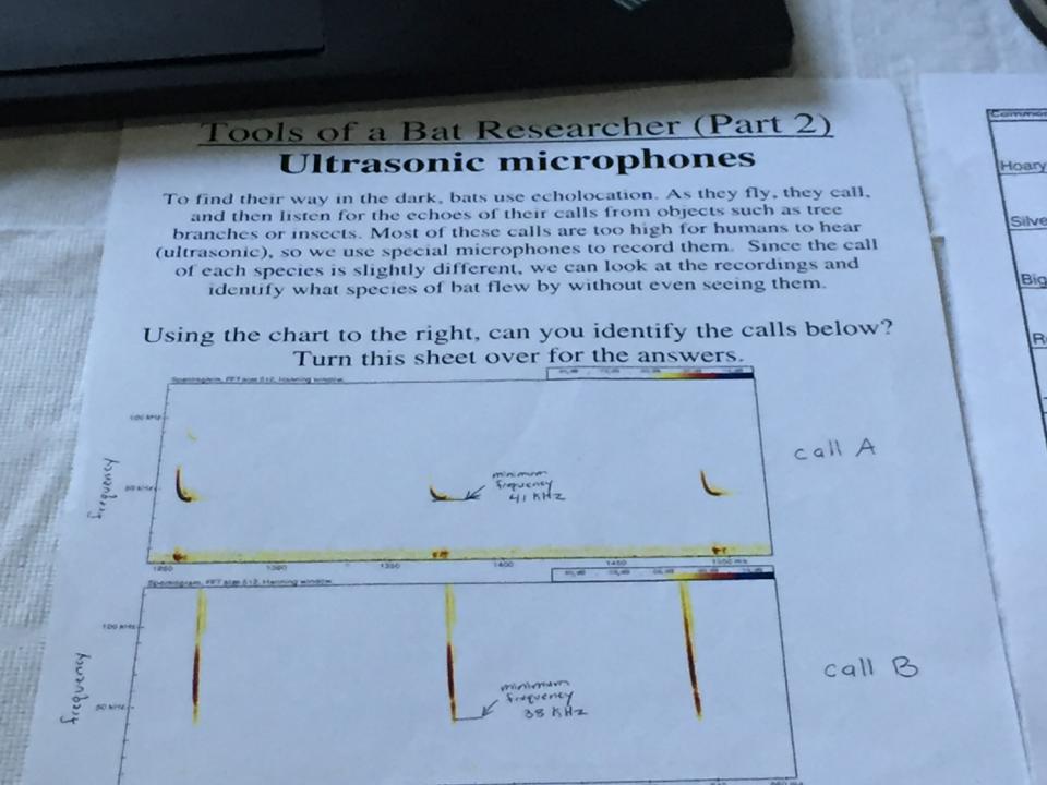 Image of sample chart output from ultrasonic microphones. 
