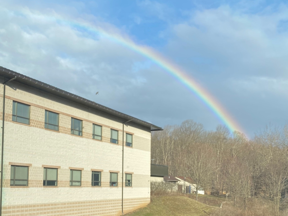 Rainbow and bird flying over AL