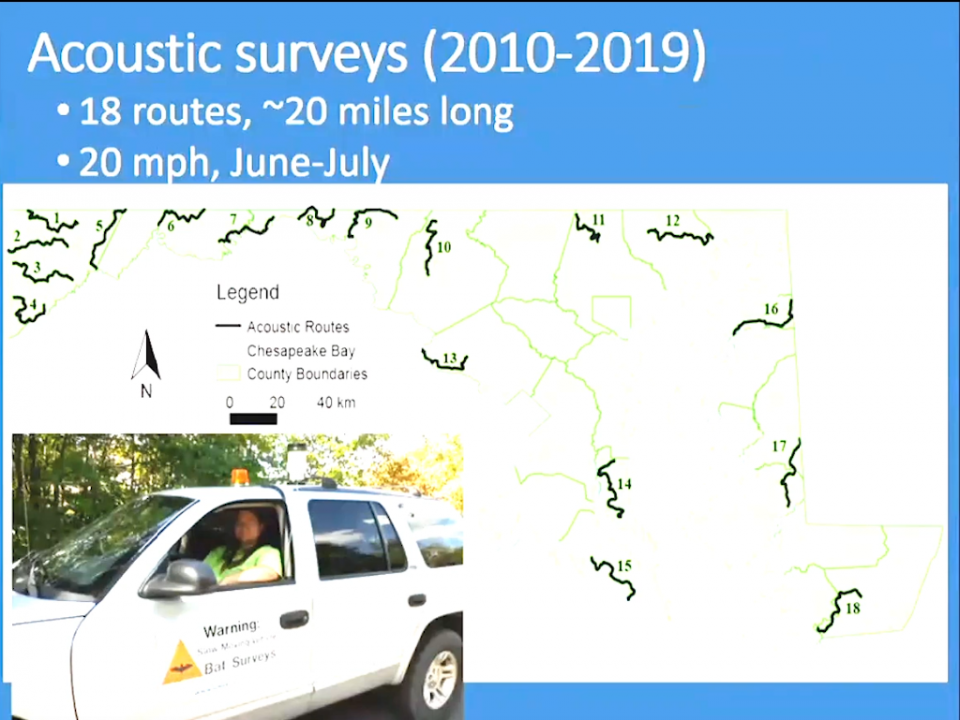 Juliet Nagel's acoustic bat surveys routes and details 