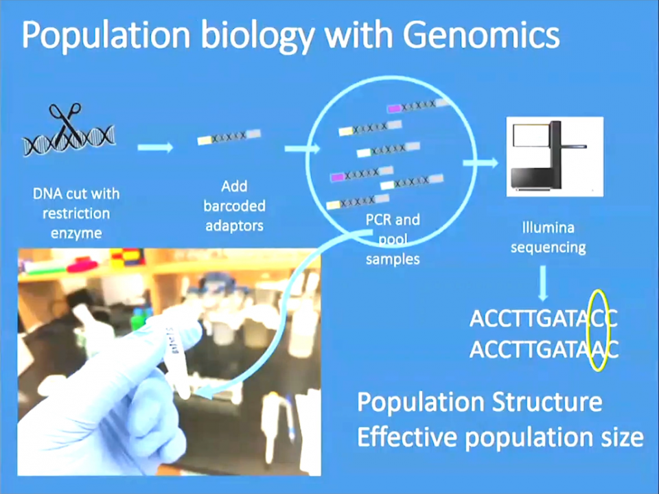 Population biology with genomics 
