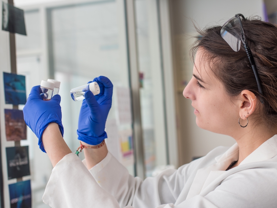 Lauren Jonas holding vials with colorful bacteria extracted from marine sponges