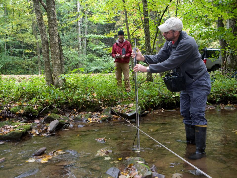 researcher studies streams