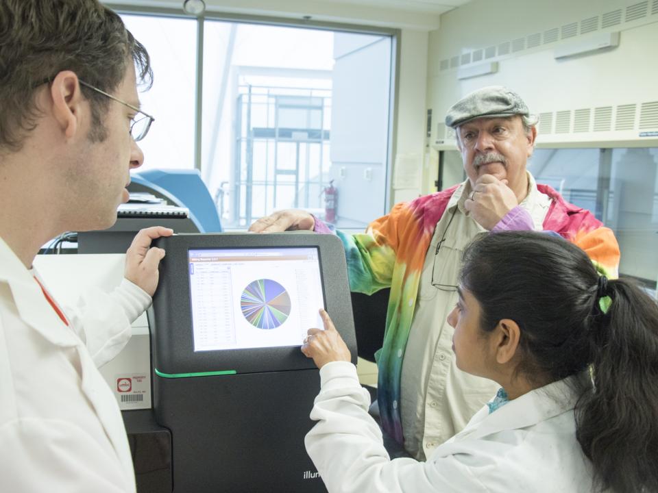 Workers in the BAS Lab at IMET