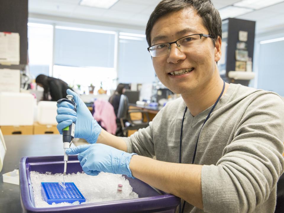 Student prepares genetic samples for study