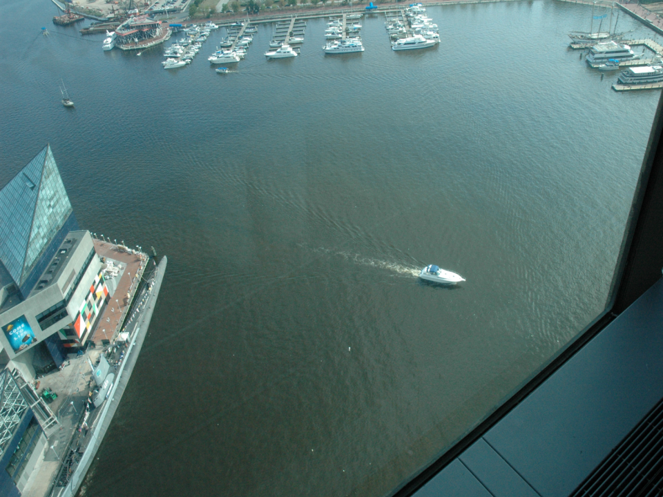 Karlodinium bloom from Baltimore's World Trade Center