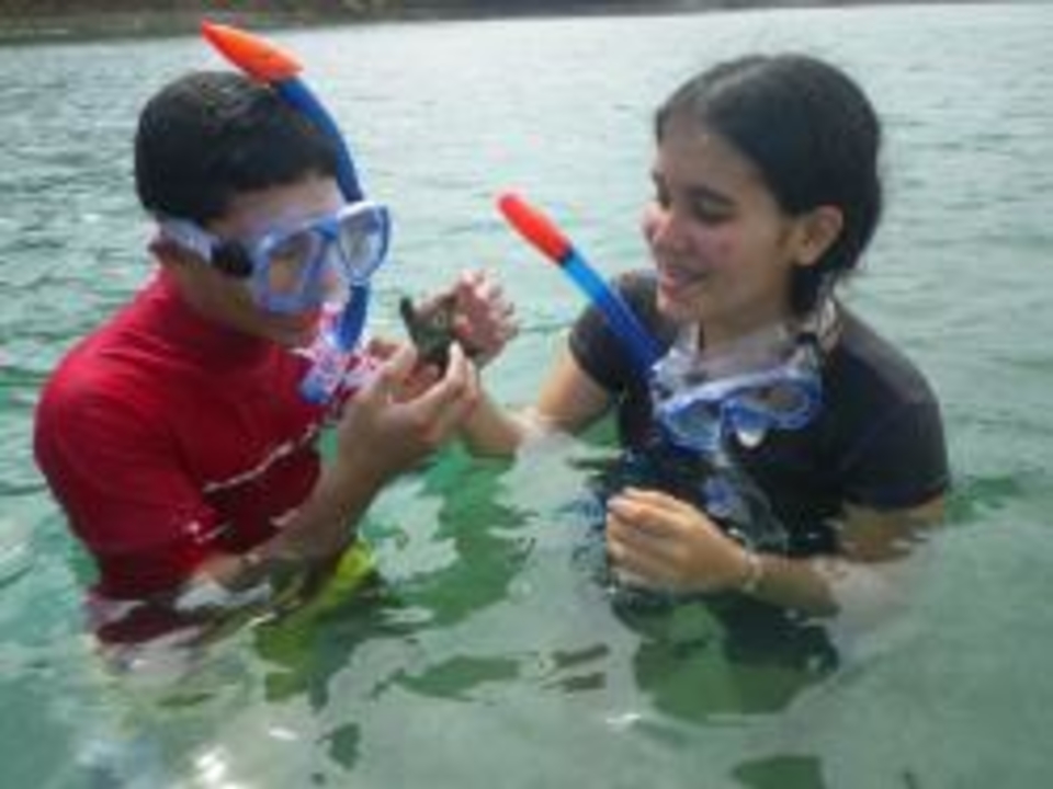 Students in the water in snorkel masks in Puerto Rico