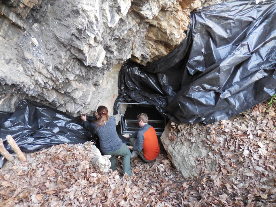 Researchers setting up trapping at cave. 