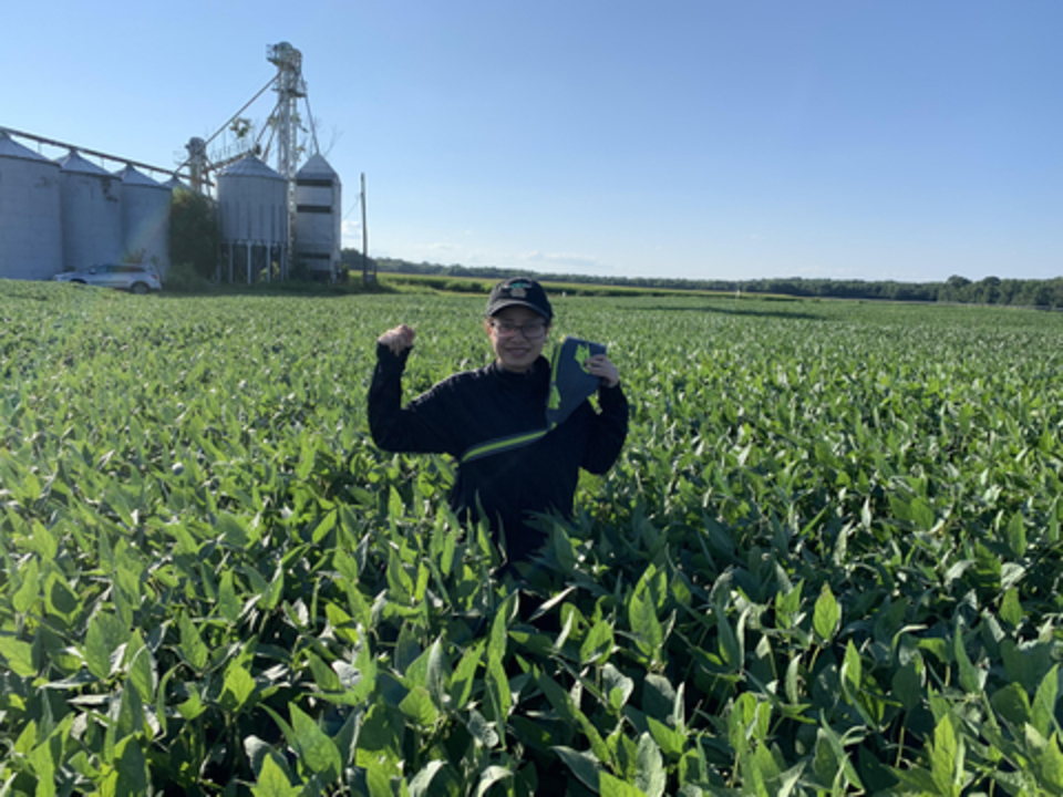 Tan Zou in a corn field