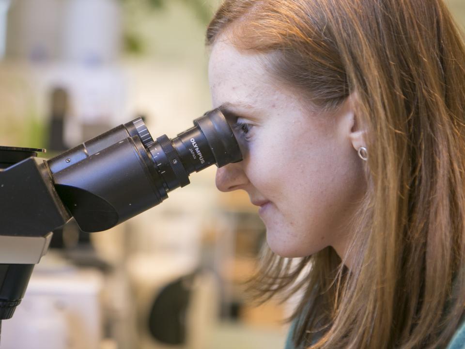 Student looking into microscope