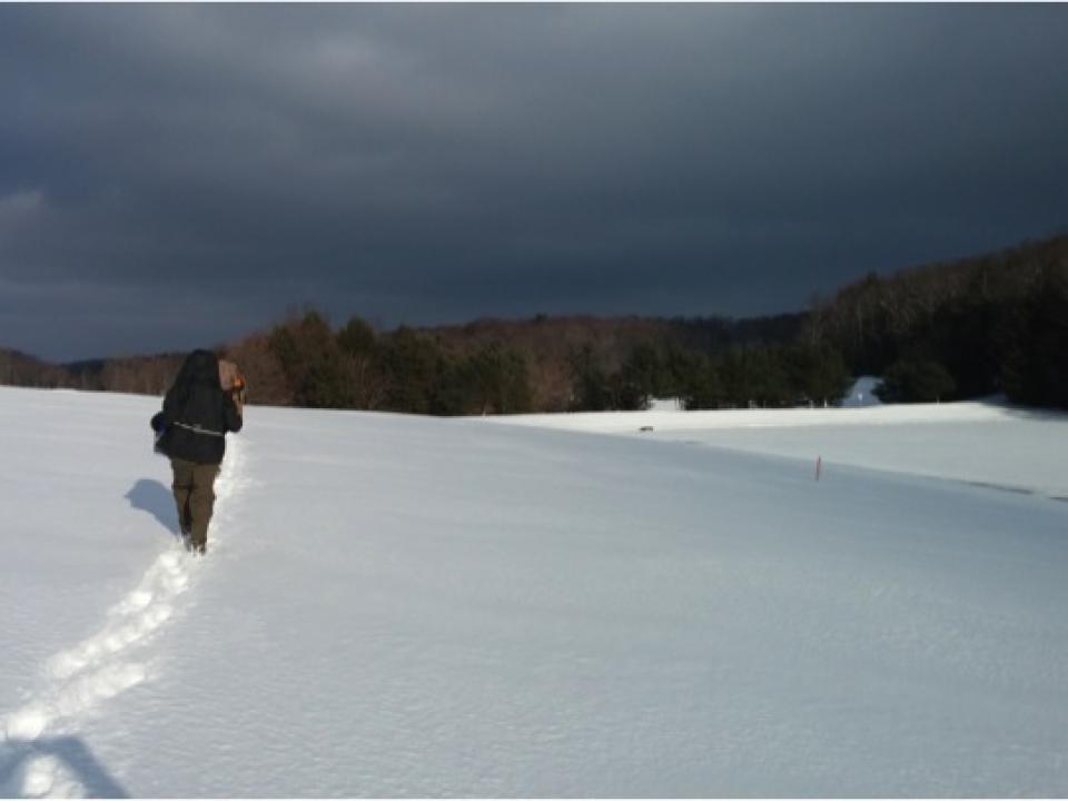 Caroline Coulter walks through the snow. 