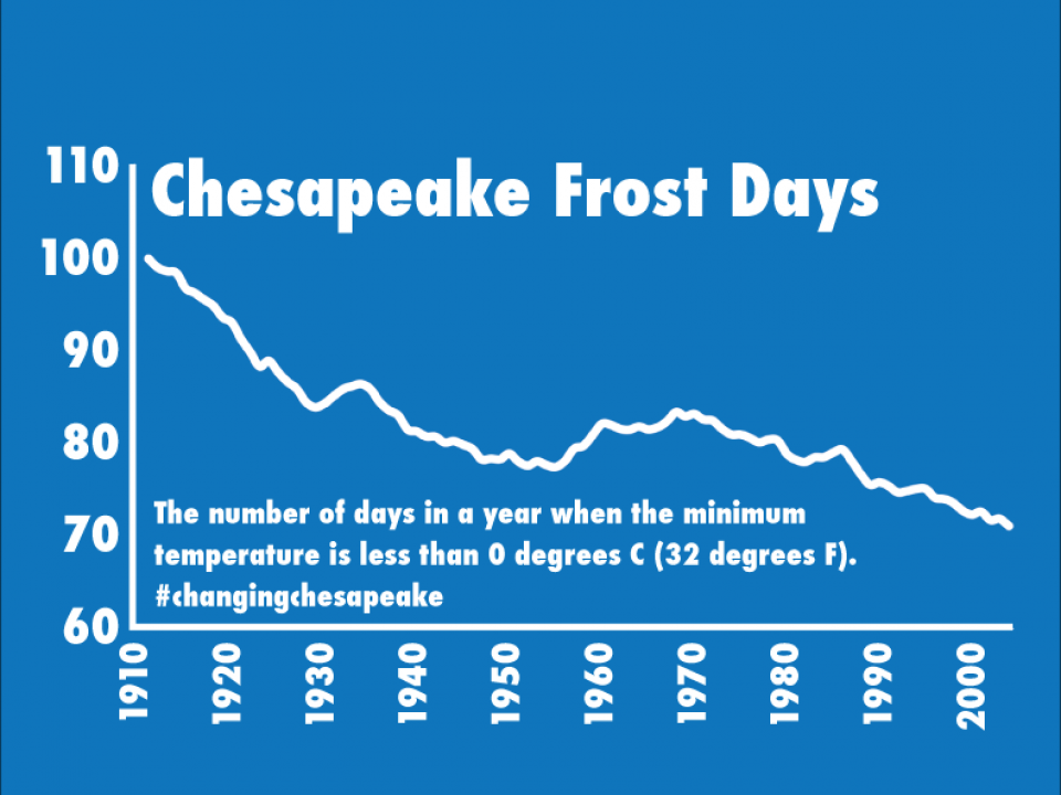 graph showing the drop in numbers of days with frost