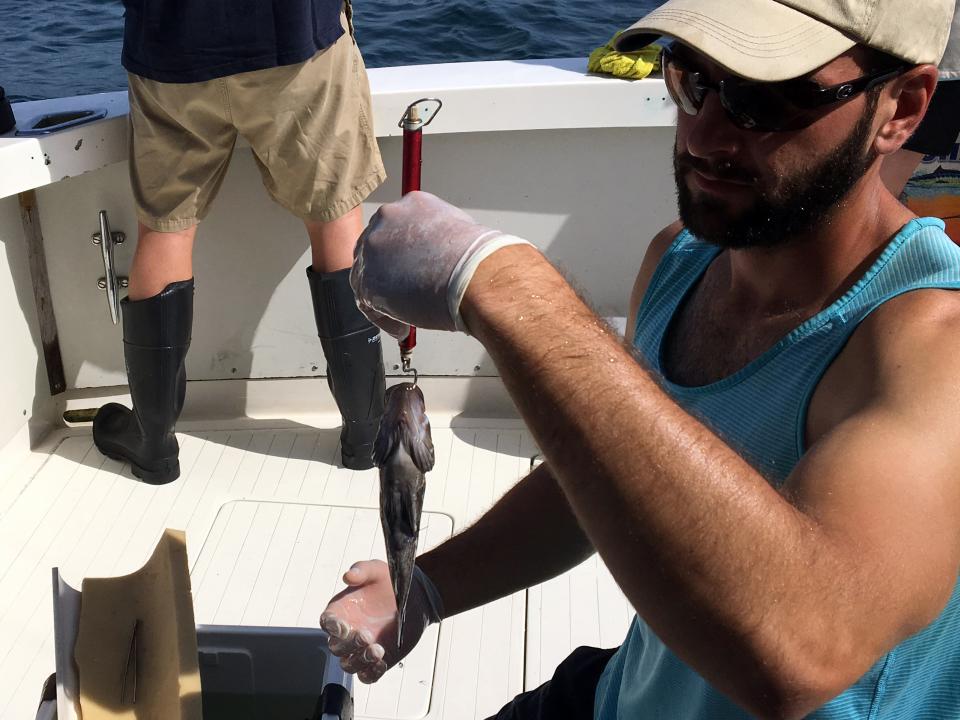 Mike O'Brien weighs a fish.