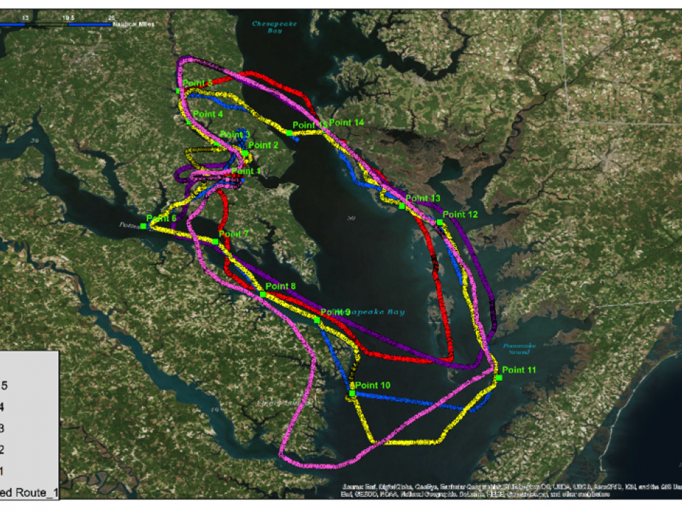 This map shows the path of the DolphinWatch team's aerial surveys.