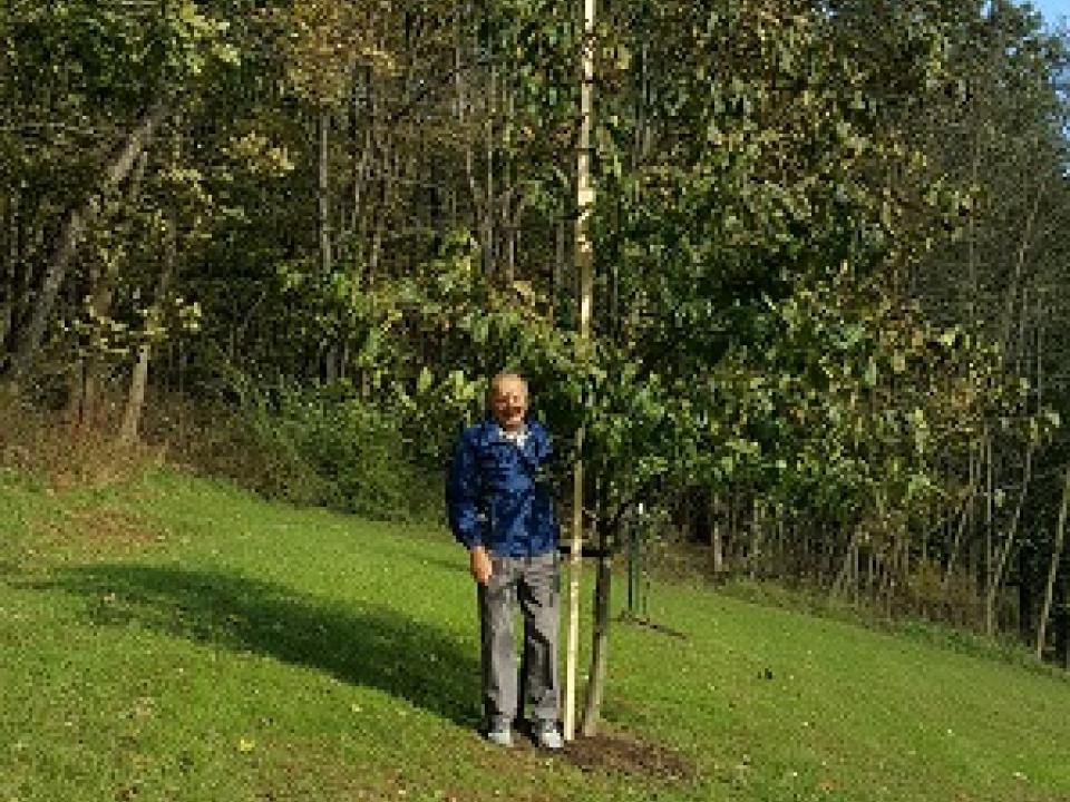 Citizens Restoring American Chestnuts citizen scientist Joe Kroll with his 8 ft tall American chestnut tree