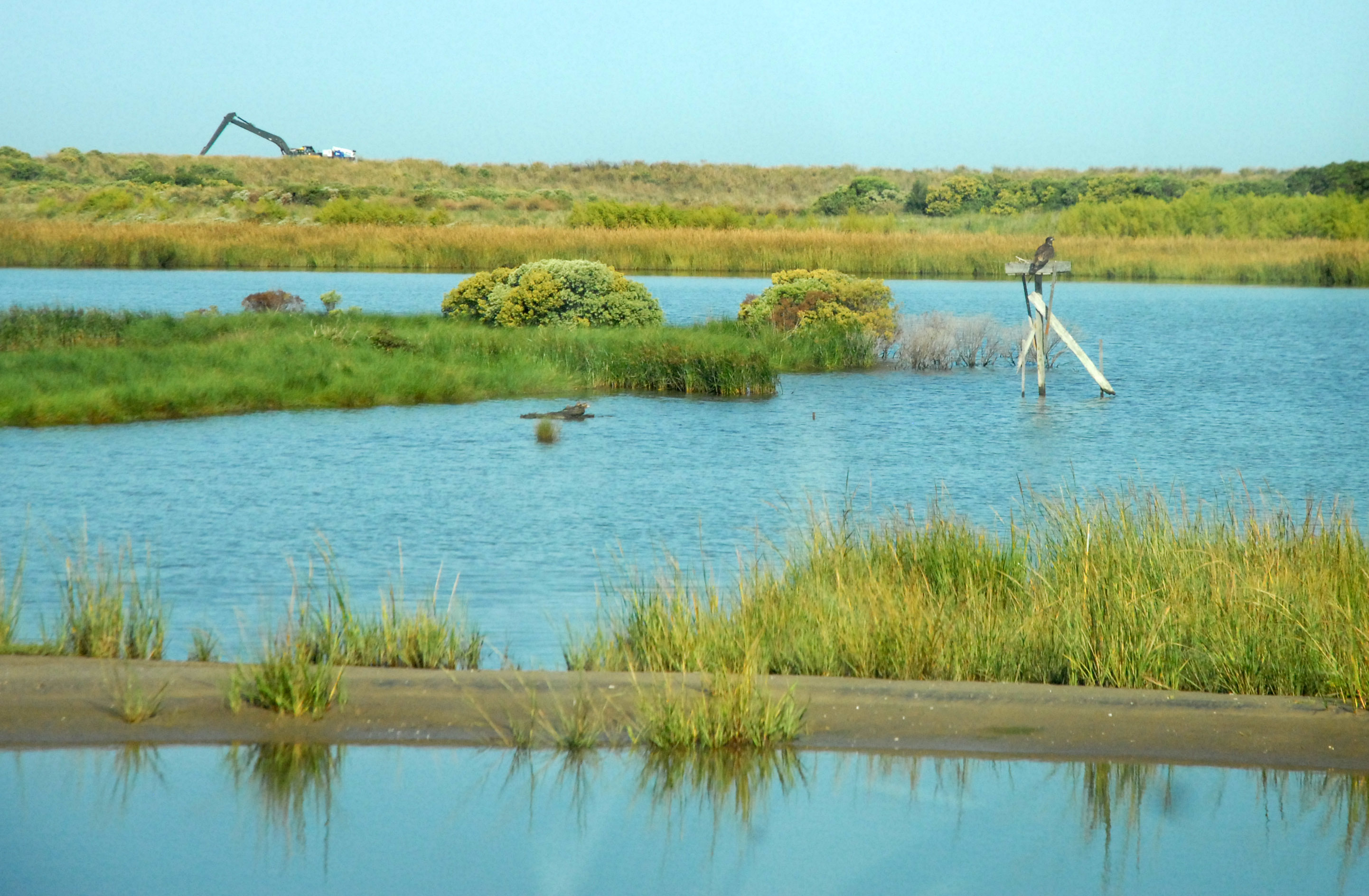 poplar island sherwood tours