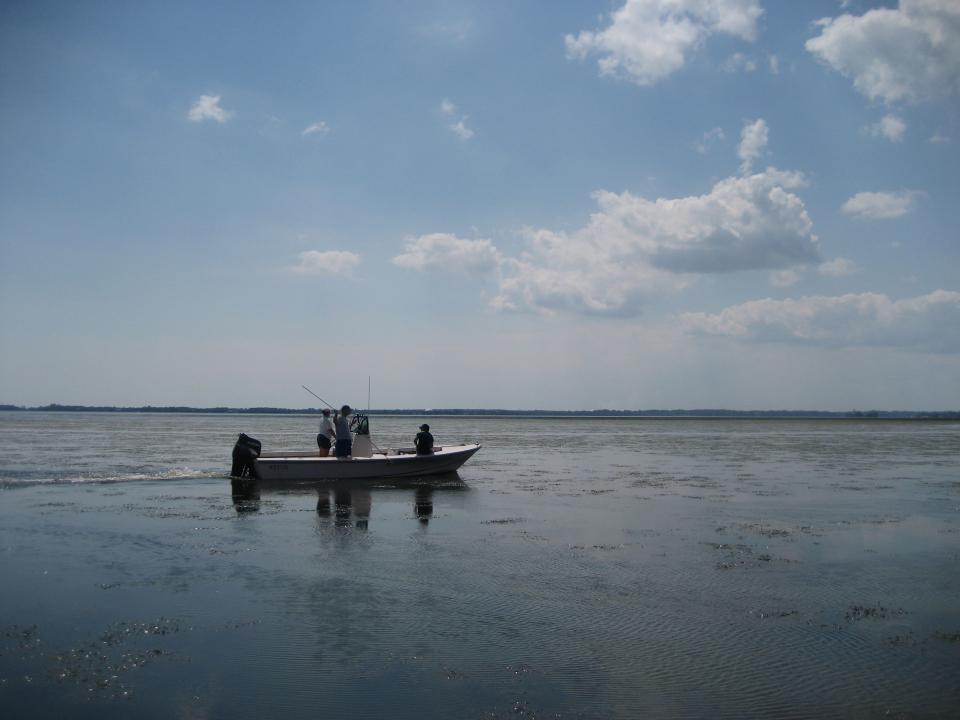 A Horn Point boat on the Chesapeake Bay.