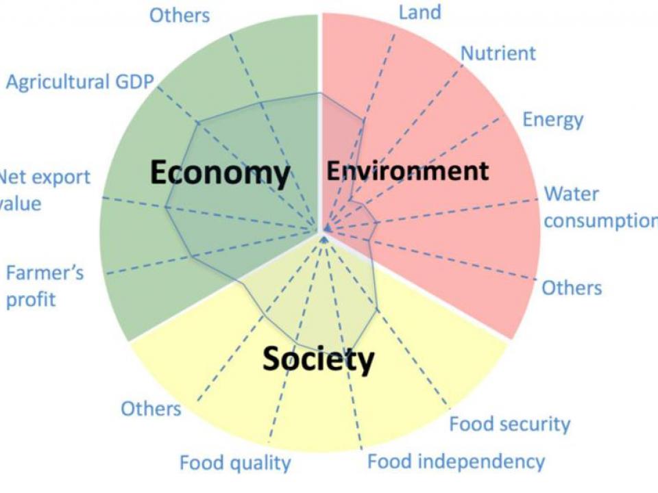 The conceptual map for the sustainable agriculture matrix product