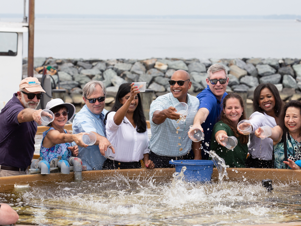 Governor Moore and his cabinet toss oyster spat into a giant vat filled with water