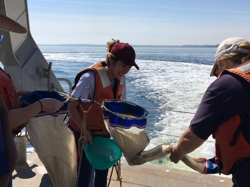 Meshed nets like this one were dragged across the water from the Rachel Carson to pull in plankton for the group to observe.