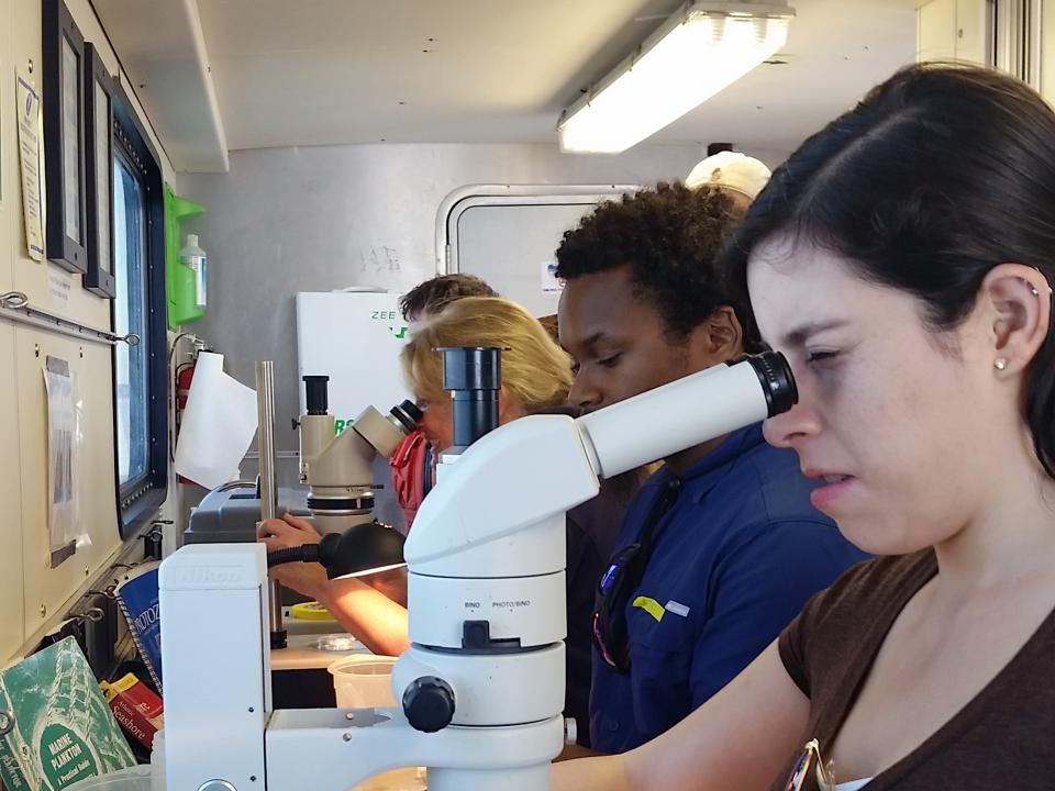 Ana Sosa, a graduate student at IMET, peers into a microscope to identify plankton pulled from the water.