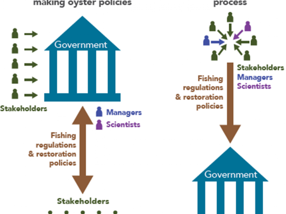 Infographic - Consensus Process