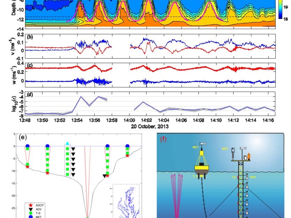 Nonlinear internal waves 