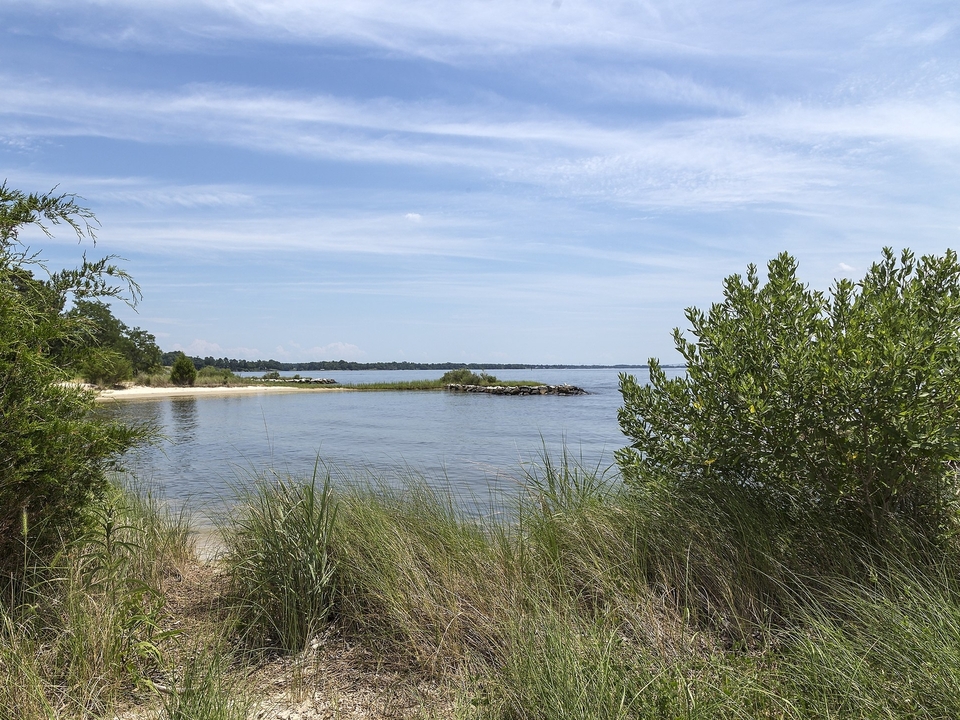 Photo of the Patuxent River