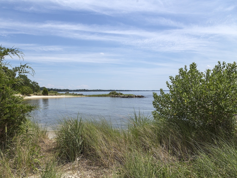 Photo of the Patuxent River