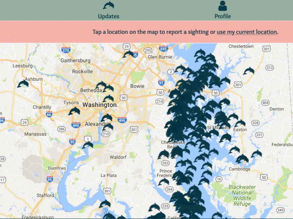 This is a screenshot of the DolphinWatch map on Aug. 18, 2017.