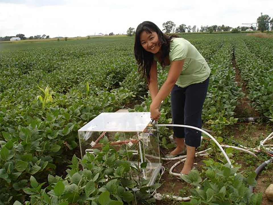 Photo of Xin Zhang working in the field