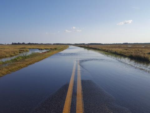 View of flooded road in Blackwater Refuge, Eastern Shore of Maryland