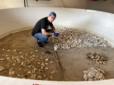 Alan Williams in an oyster tank surrounded by shells