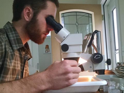 Graduate student Jacob Oster peers through a microscope