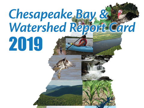 2019 Chesapeake Bay Report Card