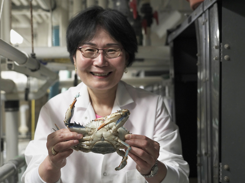 Prof Sook Chung with blue crab at IMET, Baltimore.